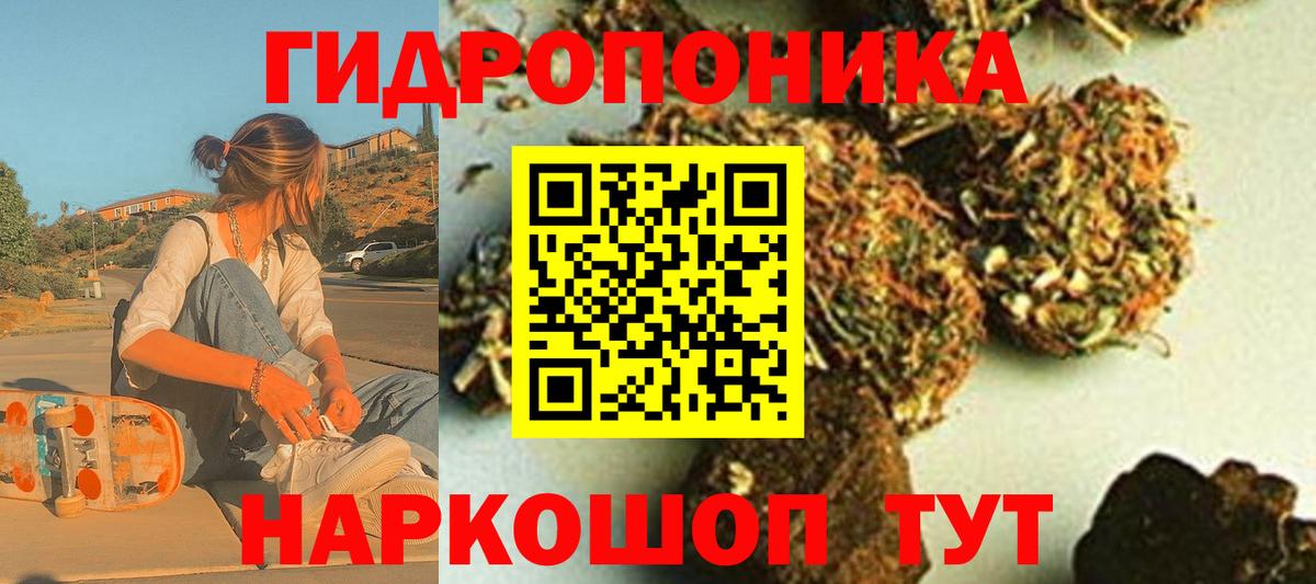 Тельмана  Каннабис сатива  Конопля White Widow  Вход с VPN  Канабис ГИДРОПОН 